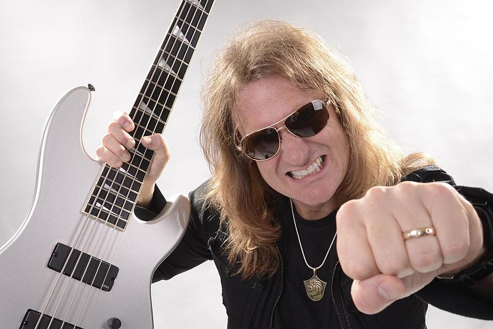 david ellefson